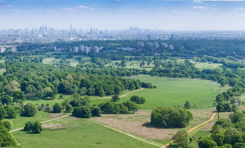 Richmond Park And North Kingston 